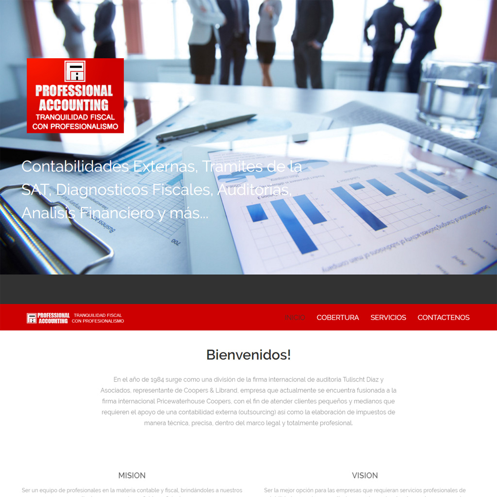 Professional Accounting