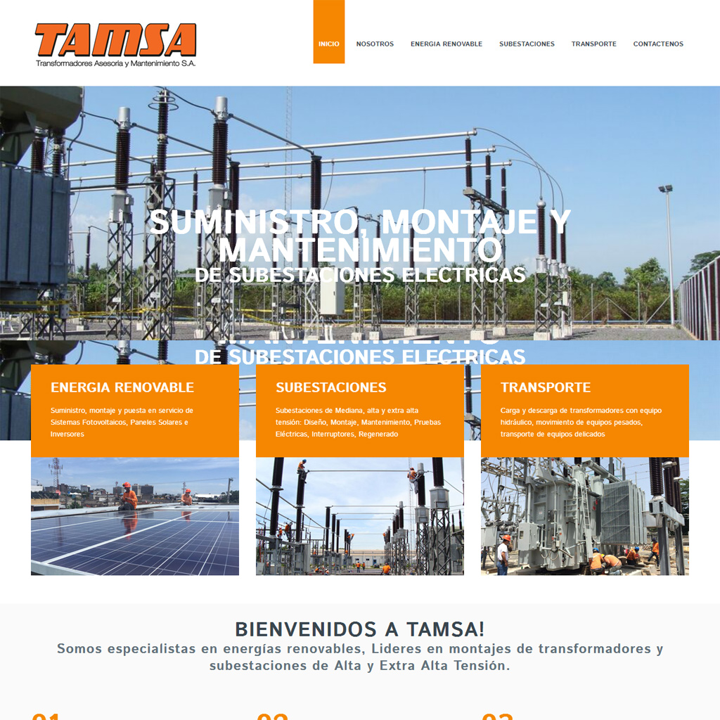 TAMSA